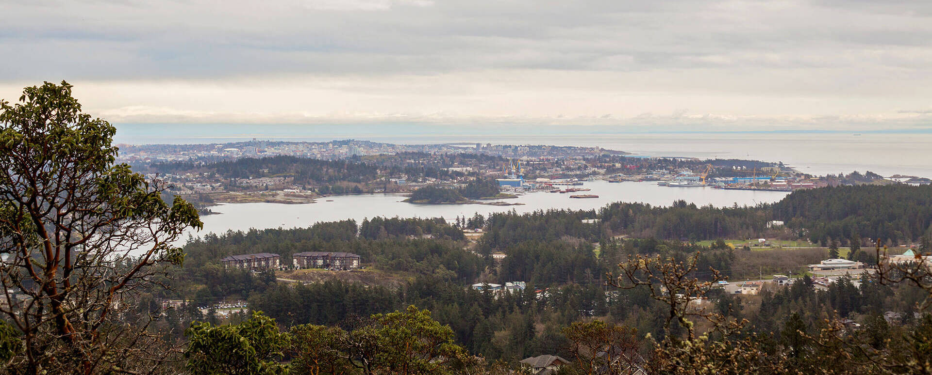 View of Victoria from Mill Hill